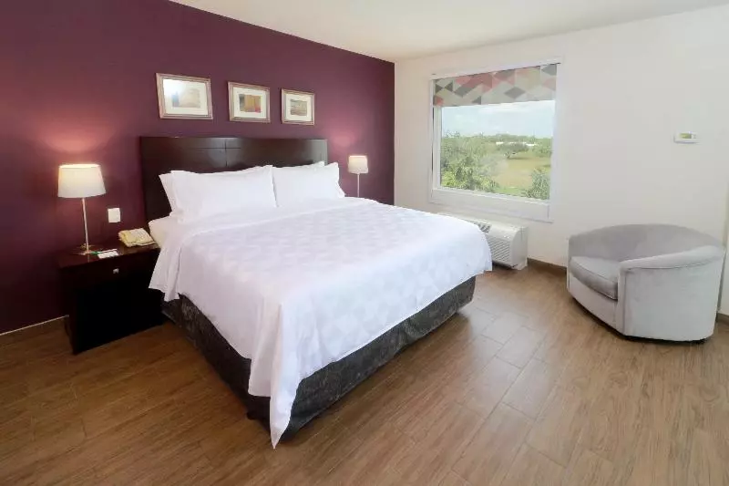 اتاق استاندارد با تخت بزرگ, Holiday Inn Reynosa Industrial Poniente, An Ihg