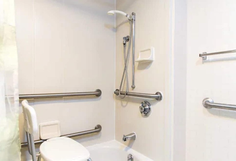 장애인을 위한 스위트, Springhill Suites By Marriott Wichita East At Plazzio