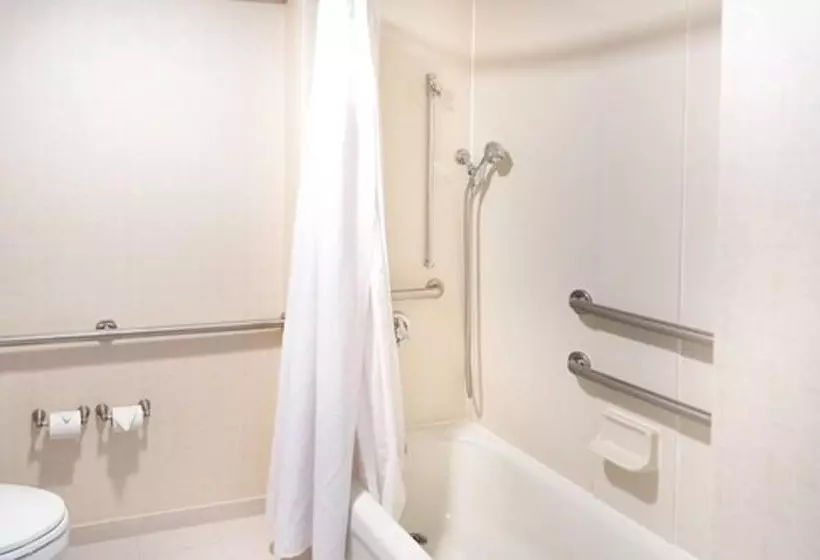 身障者適用スイートルーム, Springhill Suites By Marriott Wichita East At Plazzio