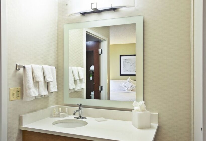سوئیت برای معلولان, Springhill Suites By Marriott Wichita East At Plazzio