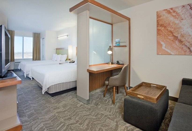 장애인을 위한 스위트, Springhill Suites By Marriott Wichita East At Plazzio