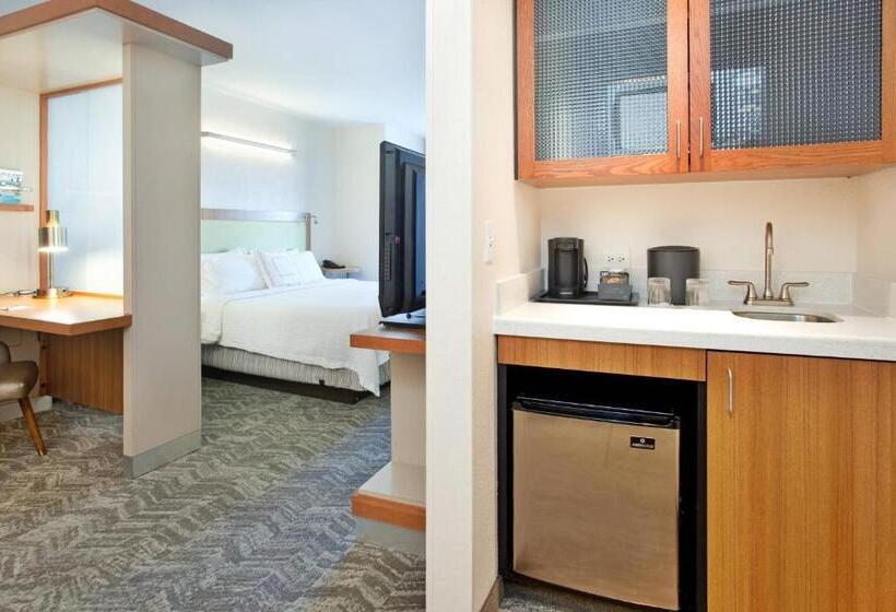 Люкс Кровать Кинг, Springhill Suites By Marriott Wichita East At Plazzio