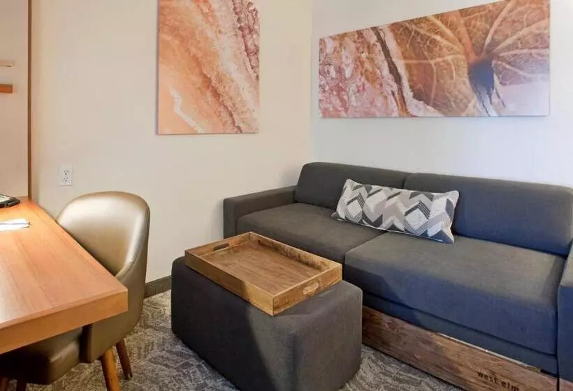キングサイズベッドのスイートルーム, Springhill Suites By Marriott Wichita East At Plazzio