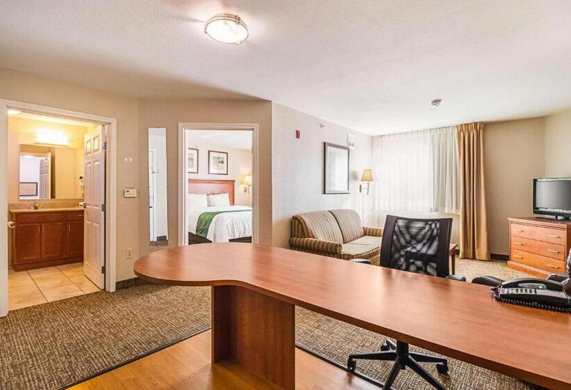 جناح سرير كينج, Suburban Studios Waterloo