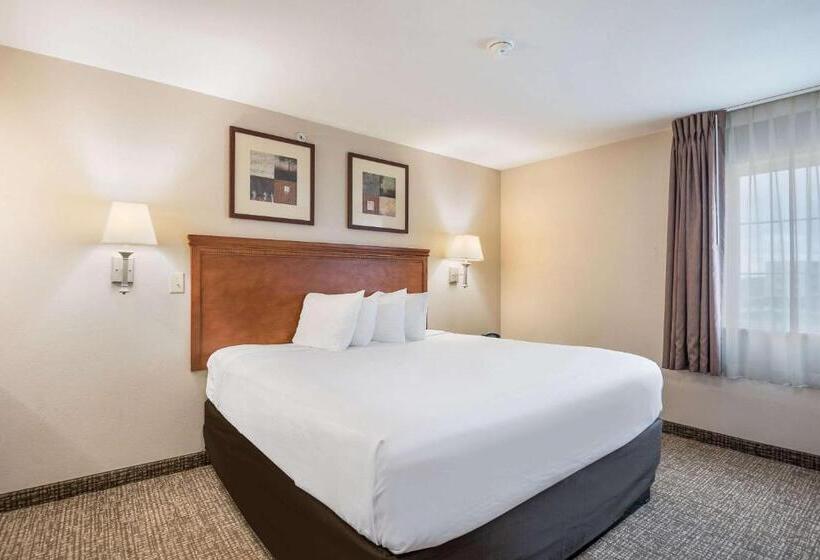 جناح سرير كينج, Suburban Studios Waterloo