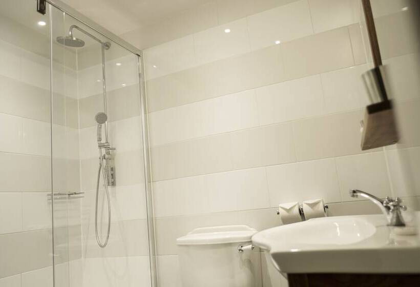 غرفة قياسية, The Swan