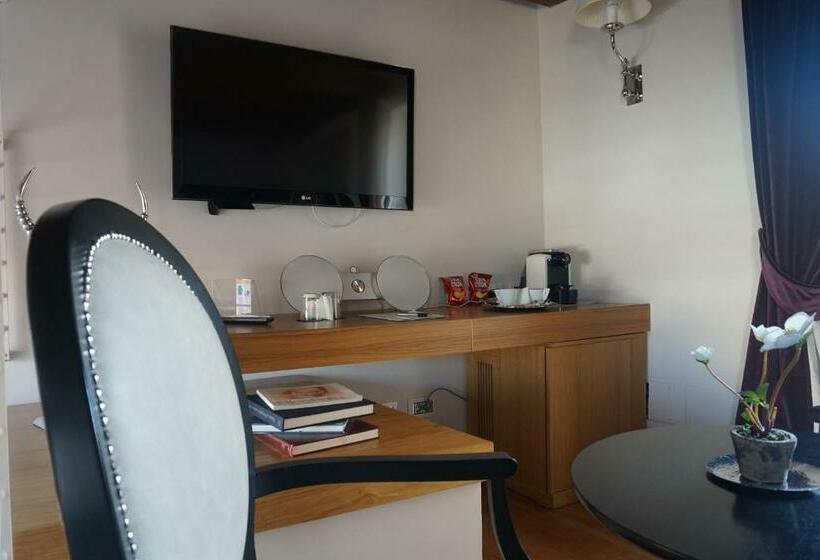 سوییت سوپریور, Trevi Palace Luxury Inn