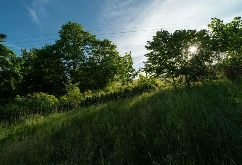 סוויטה נוף להרים, Formule