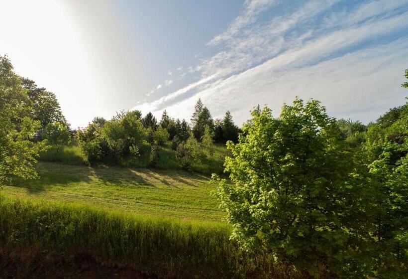 דירת חדר, Formule