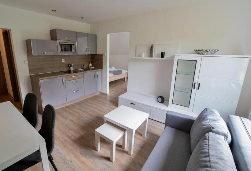 דירת חדר, Formule