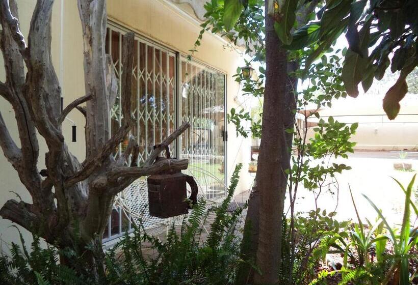 اتاق خانوادگی, Anri Guesthouse