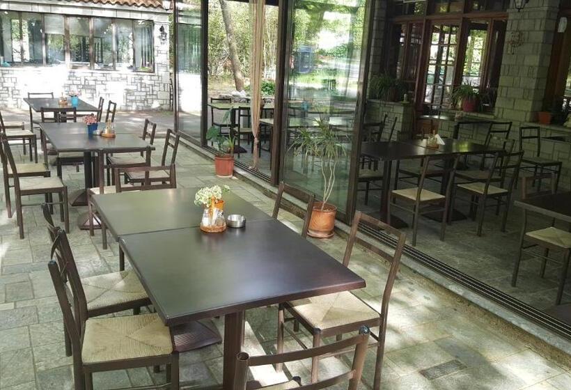 스탠다드 룸, Hani Zemenou