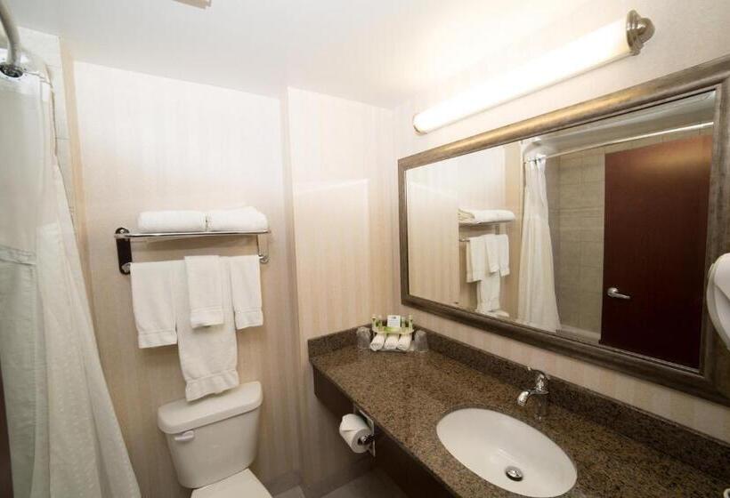 キングサイズベッドのスタンダードルーム, Holiday Inn Express & Suites Whitecourt, An Ihg