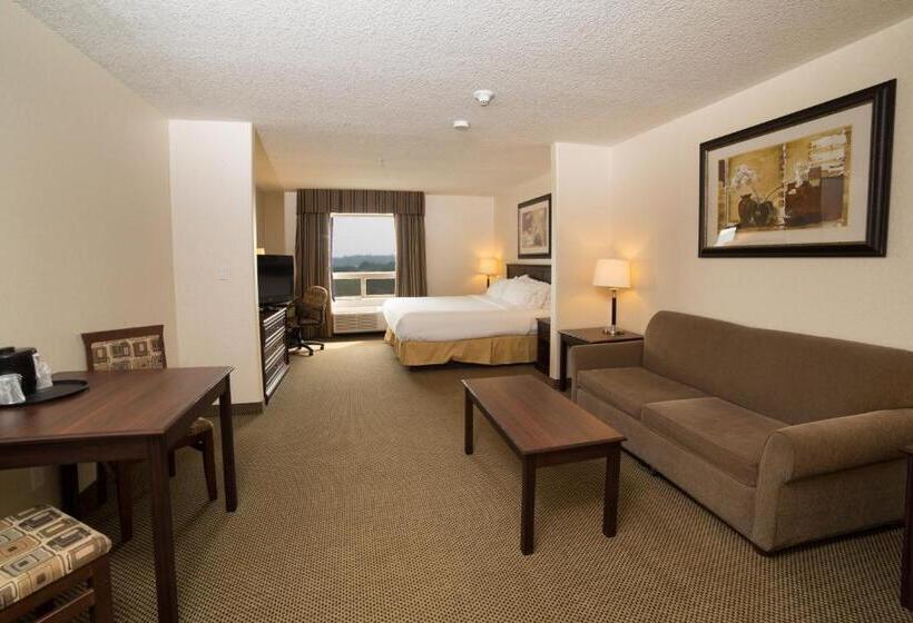 غرفة قياسية سرير كينج, Holiday Inn Express & Suites Whitecourt, An Ihg