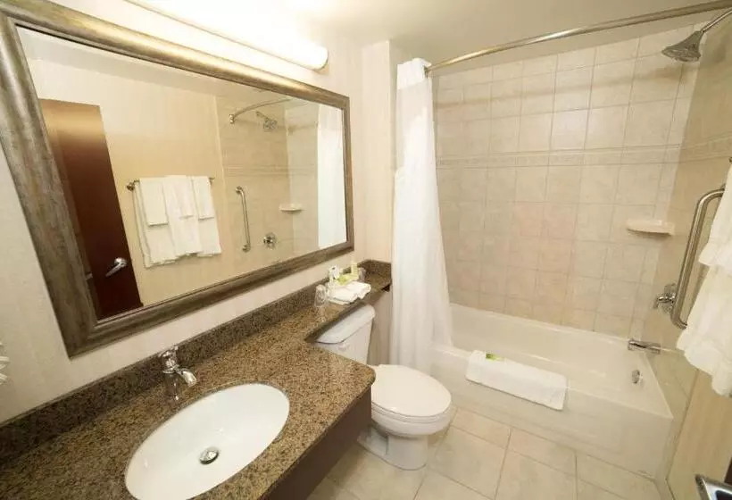 身障者適用キングサイズベッドルーム, Holiday Inn Express & Suites Whitecourt, An Ihg