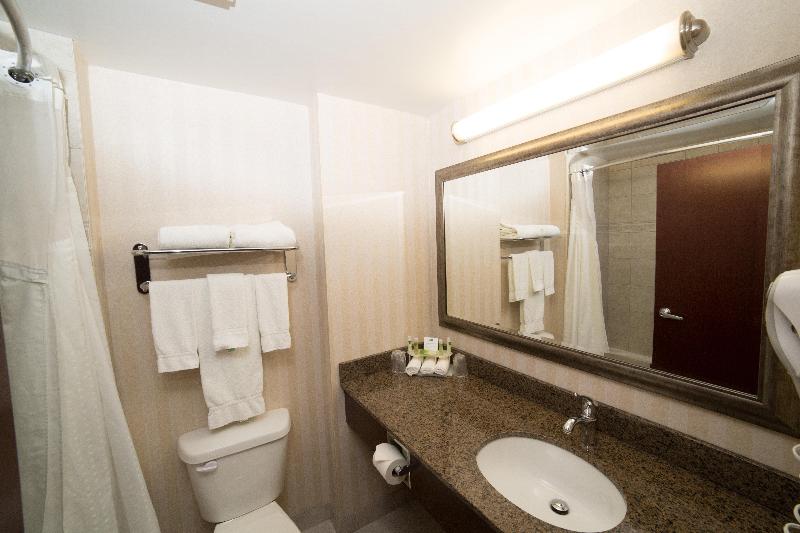غرفة قياسية سرير كينج, Holiday Inn Express & Suites Whitecourt, An Ihg