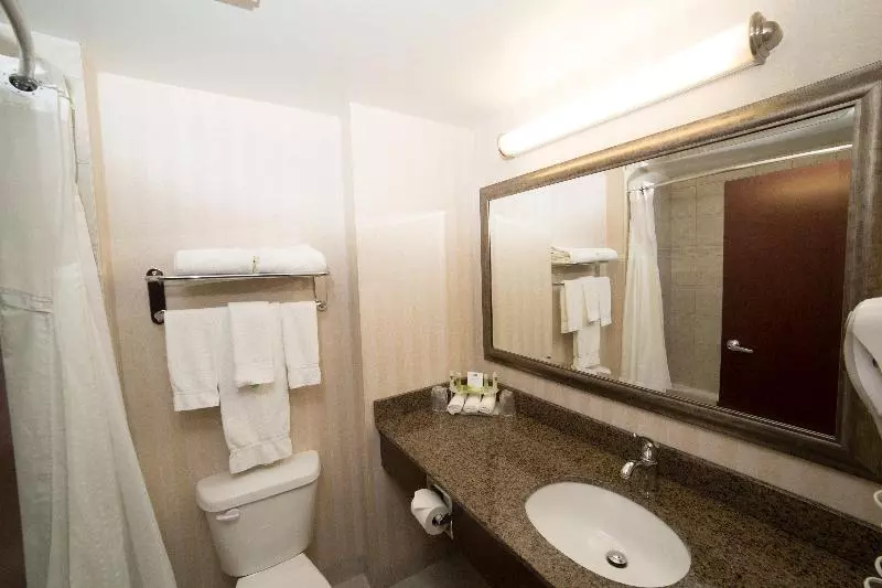 キングサイズベッドのスタンダードルーム, Holiday Inn Express & Suites Whitecourt, An Ihg