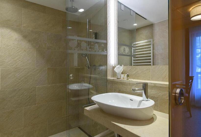 スタンダードシングルルーム, Montafoner Hof