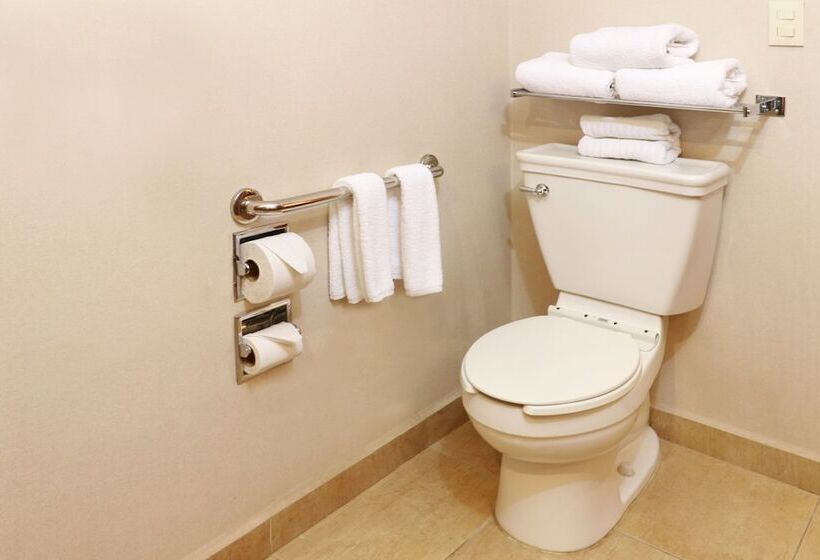 Люкс, Staybridge Suites Queretaro, An Ihg