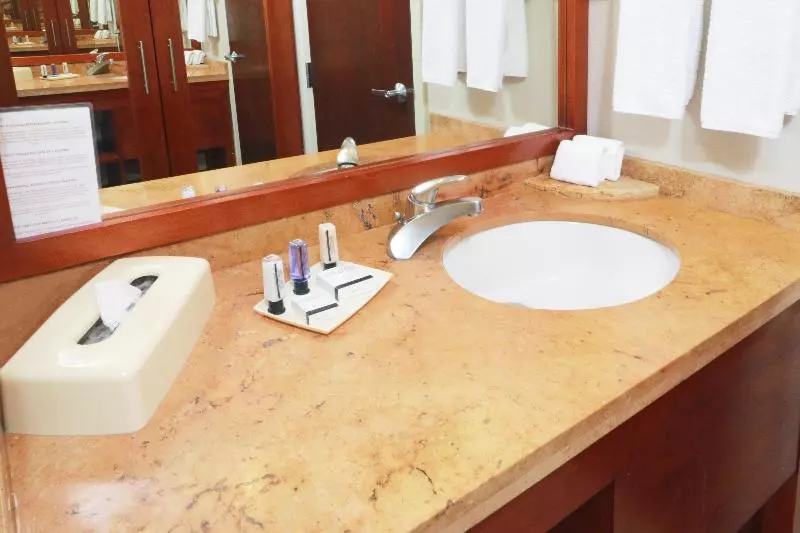 Standard-studio, Staybridge Suites Queretaro, An Ihg