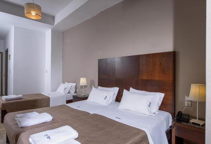 スタンダードトリプルルーム, Vanisko