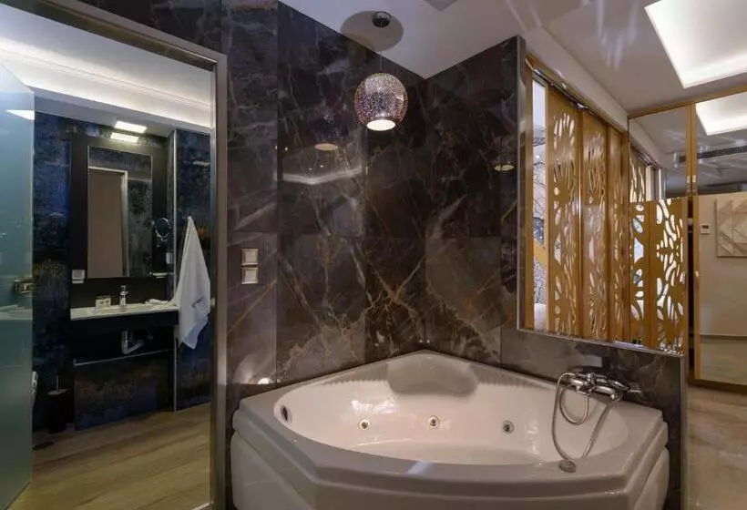 Suite Vue Piscine, Vanisko