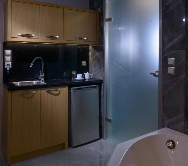 プールビュースイート, Vanisko