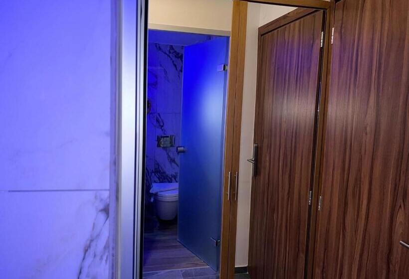 プールビュージュニアスイート, Vanisko