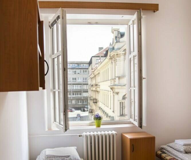 اتاق استاندارد با سرویس بهداشتی مشترک, Dizzy Daisy Hostel