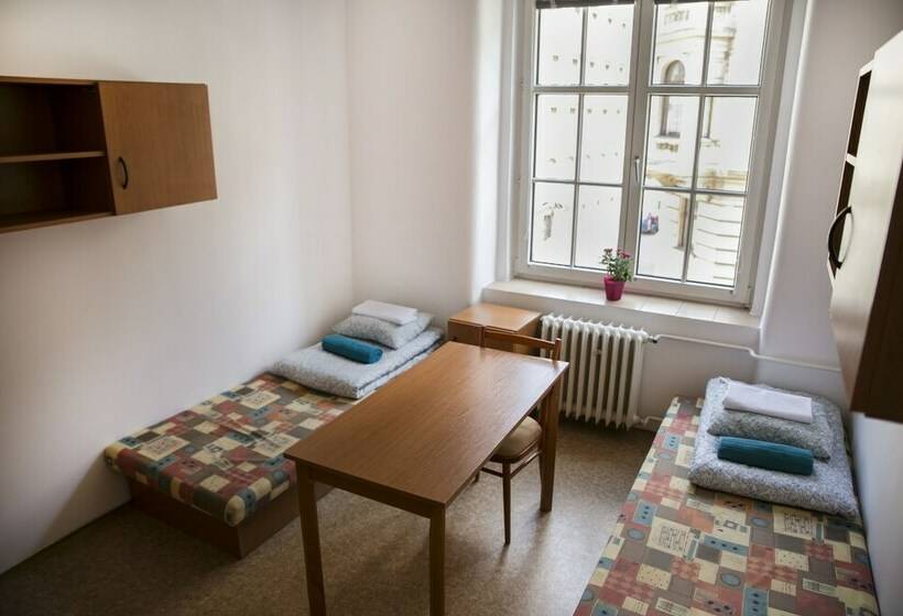 اتاق استاندارد با سرویس بهداشتی مشترک, Dizzy Daisy Hostel