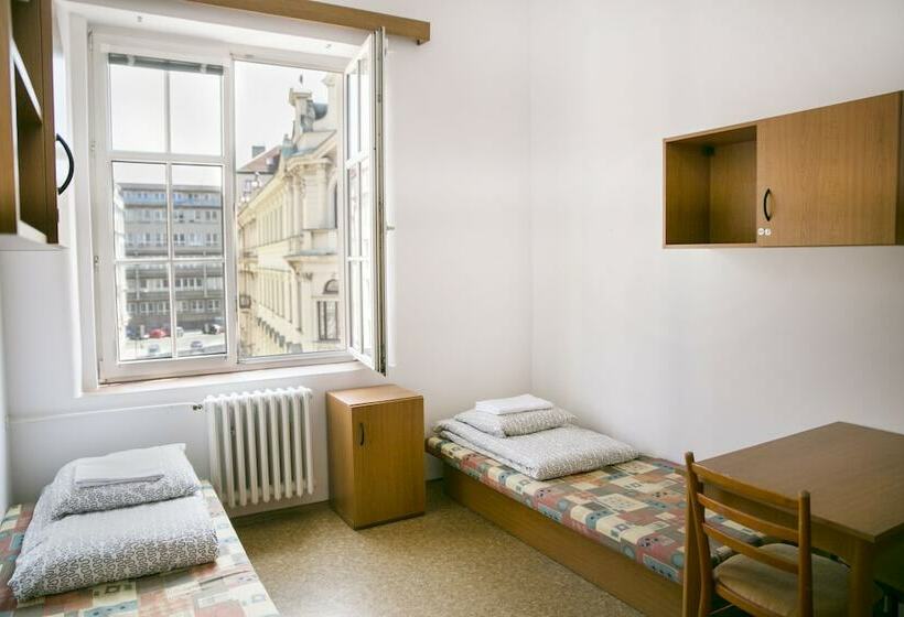 اتاق استاندارد با سرویس بهداشتی مشترک, Dizzy Daisy Hostel