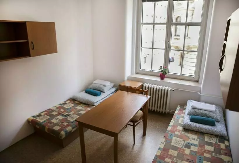 Standard-huone, Dizzy Daisy Hostel