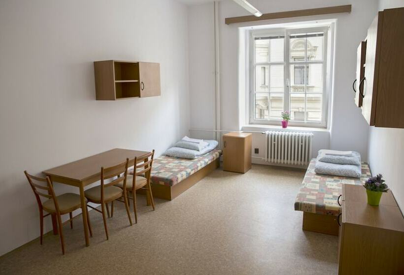 اتاق استاندارد سه تخته با سرویس بهداشتی مشترک, Dizzy Daisy Hostel