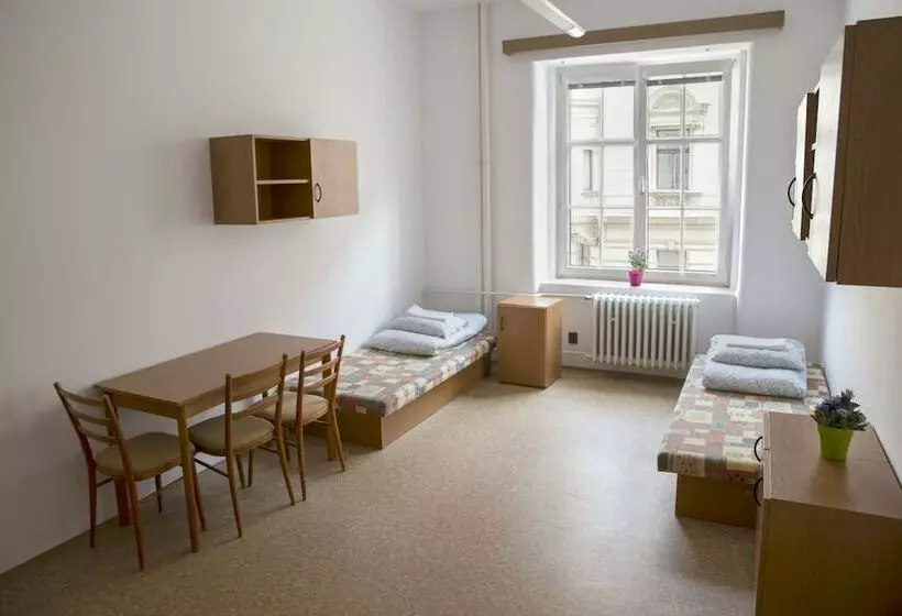 Standard Kolmen Hengen Huone Jaettu kylpyhuone, Dizzy Daisy Hostel