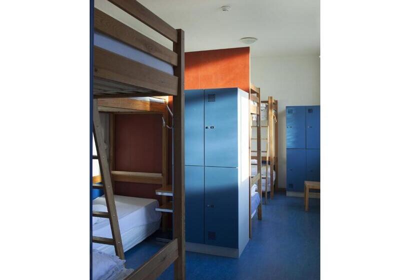 سرير فى غرفة مشتركه, Basel Backpack