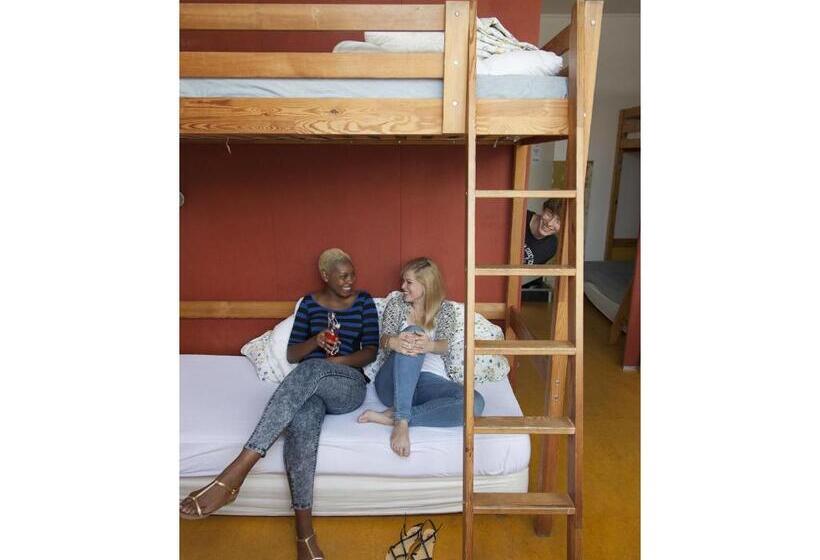 سرير فى غرفة مشتركه, Basel Backpack