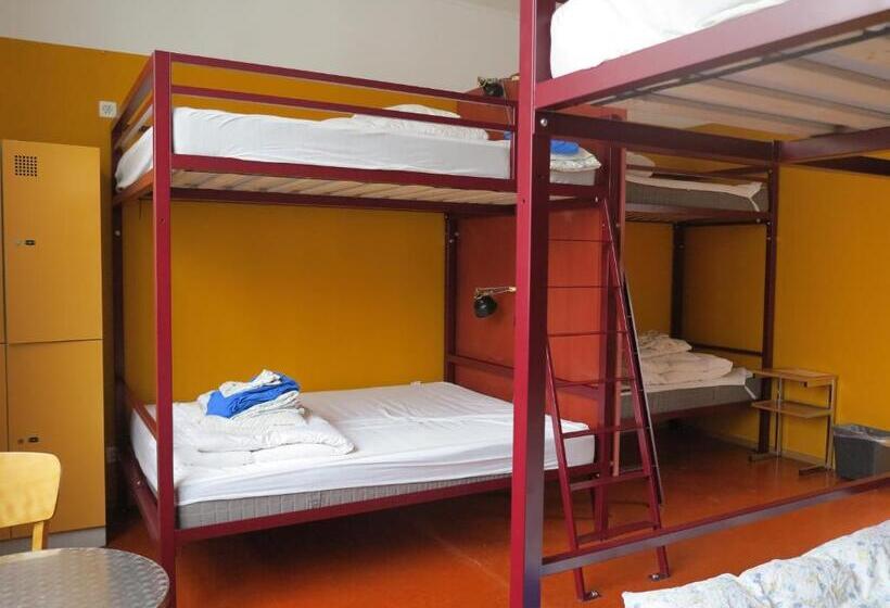 سرير فى غرفة مشتركه, Basel Backpack