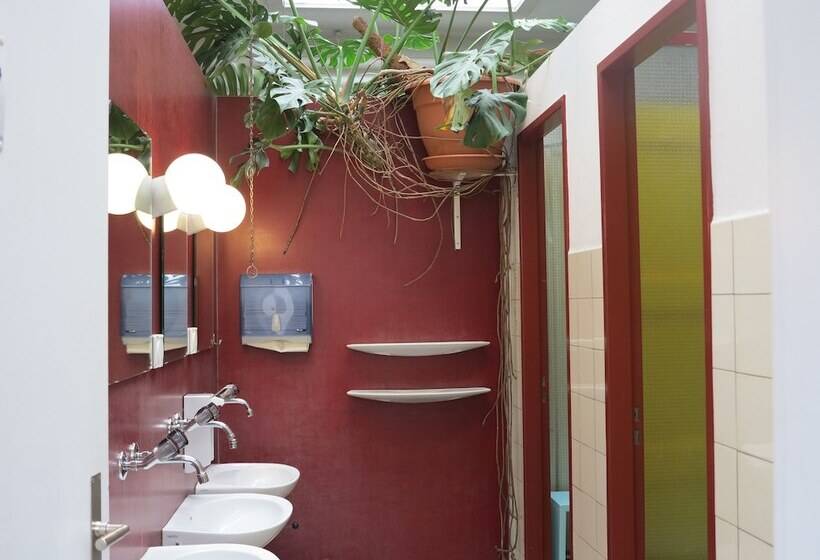 غرفة قياسية, Basel Backpack