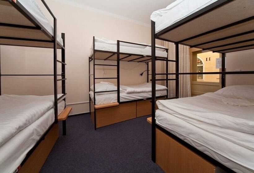 Cama em Quarto Compartilhado, Hostel Mango