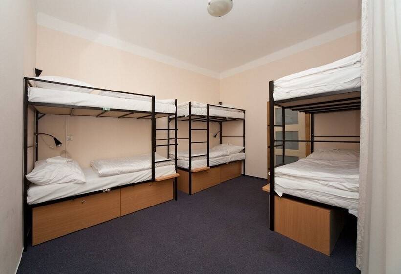 Cama em Quarto Compartilhado, Hostel Mango