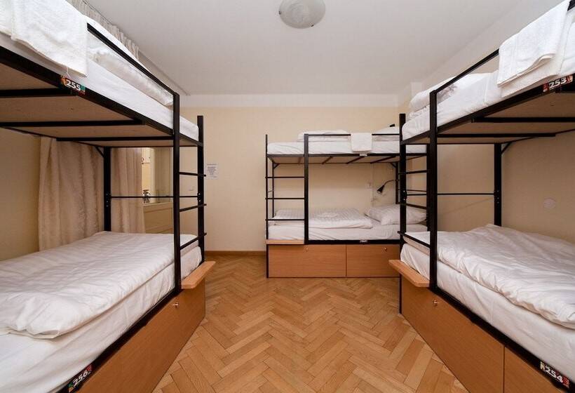 Cama em Quarto Compartilhado, Hostel Mango