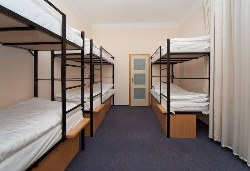 Cama em Quarto Compartilhado, Hostel Mango