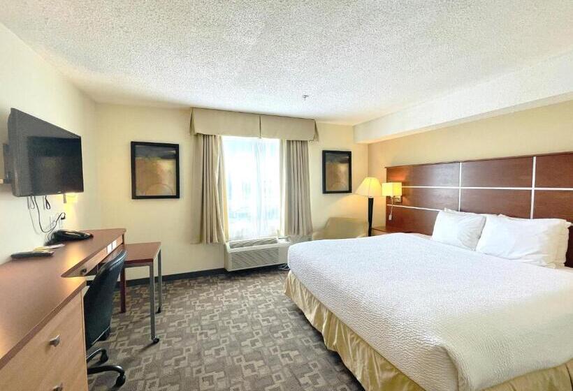 キングサイズベッドのデラックスルーム, Days Inn By Wyndham Grande Prairie
