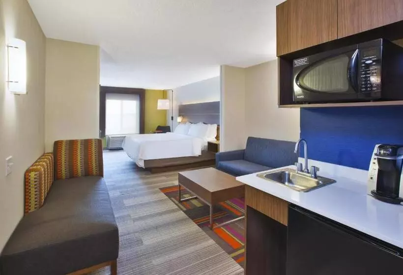 キングサイズベッドのスタンダードルーム, Holiday Inn Express Hotel & Suites Auburn Hills, An Ihg