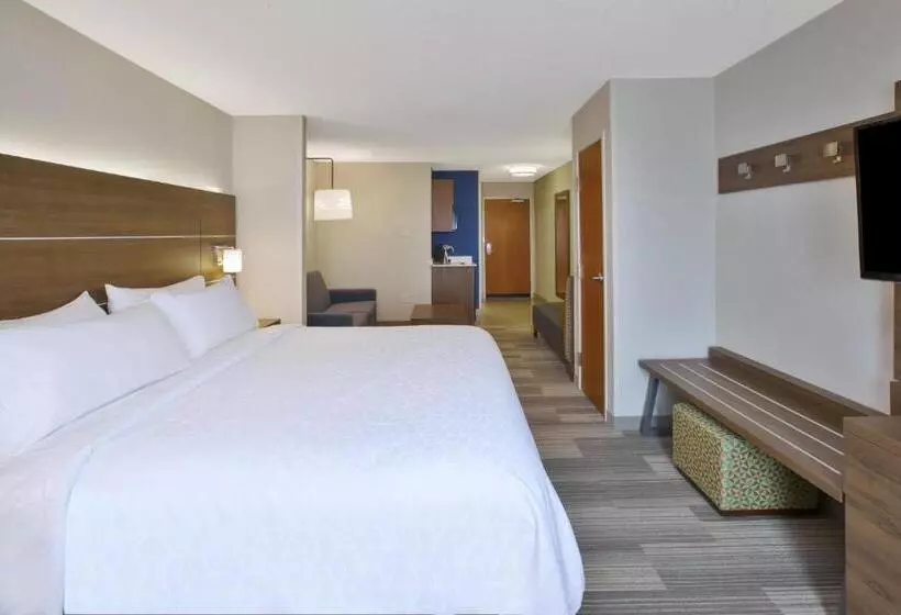 身障者適用キングサイズベッドルーム, Holiday Inn Express Hotel & Suites Auburn Hills, An Ihg