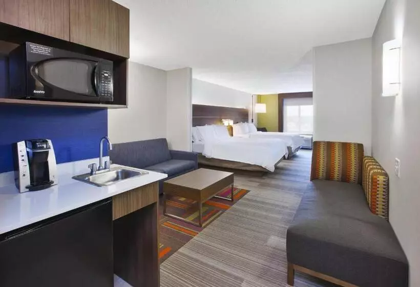 身障者適用スタンダードルーム, Holiday Inn Express Hotel & Suites Auburn Hills, An Ihg