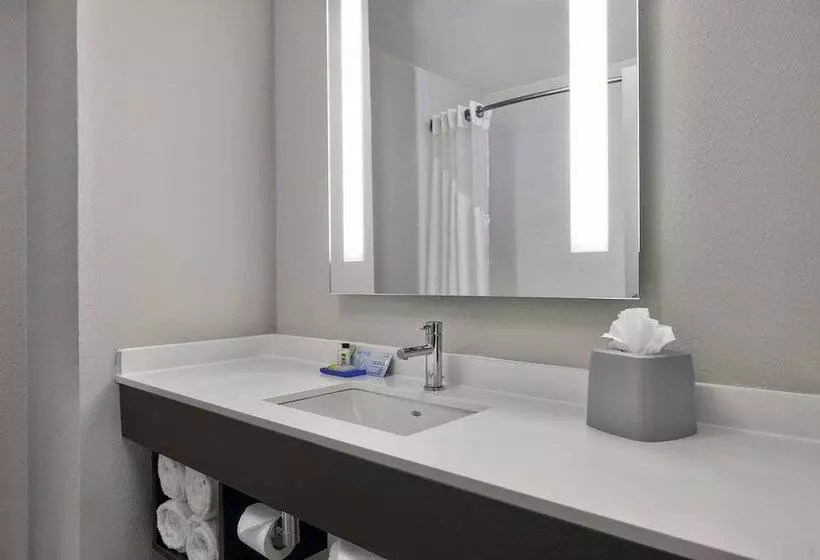 スイート, Holiday Inn Express Hotel & Suites Kansas City Grandview, An Ihg