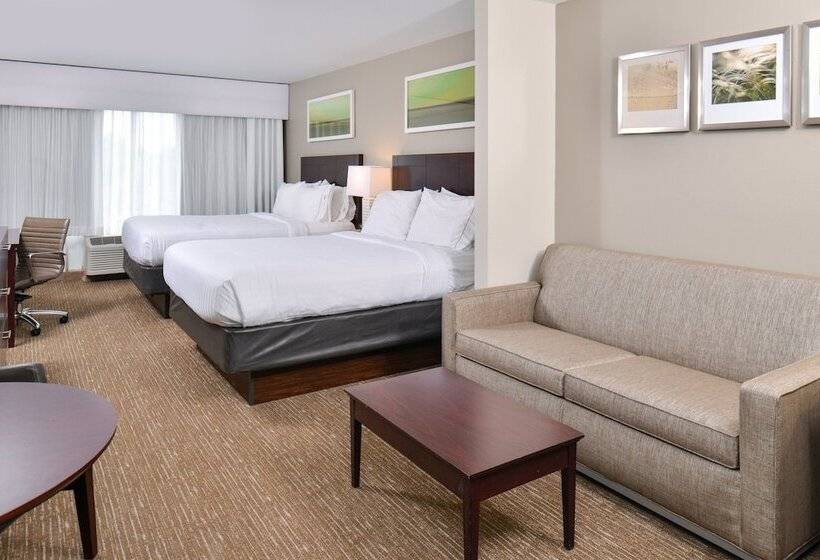 سوییت, Holiday Inn Express Hotel & Suites Lafayette, An Ihg