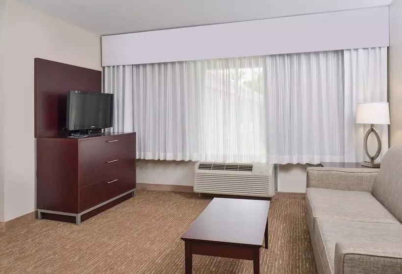 سوییت, Holiday Inn Express Hotel & Suites Lafayette, An Ihg