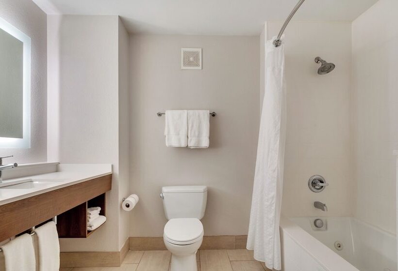 标准间, Holiday Inn Express Hotel & Suites Lake Elsinore, An Ihg